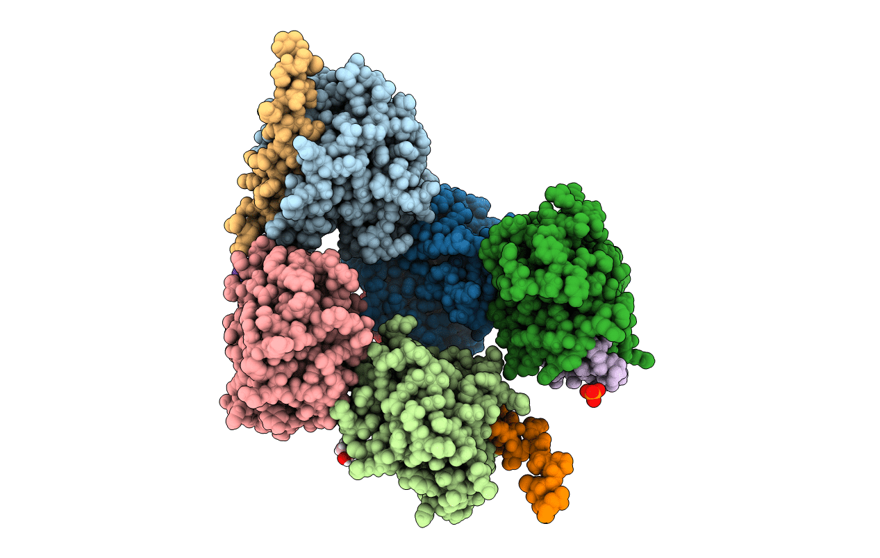 7P33 image