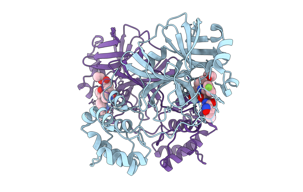 7P35 image