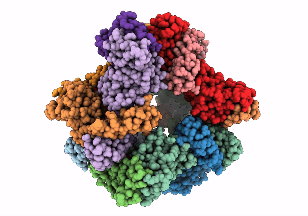 7P37 image