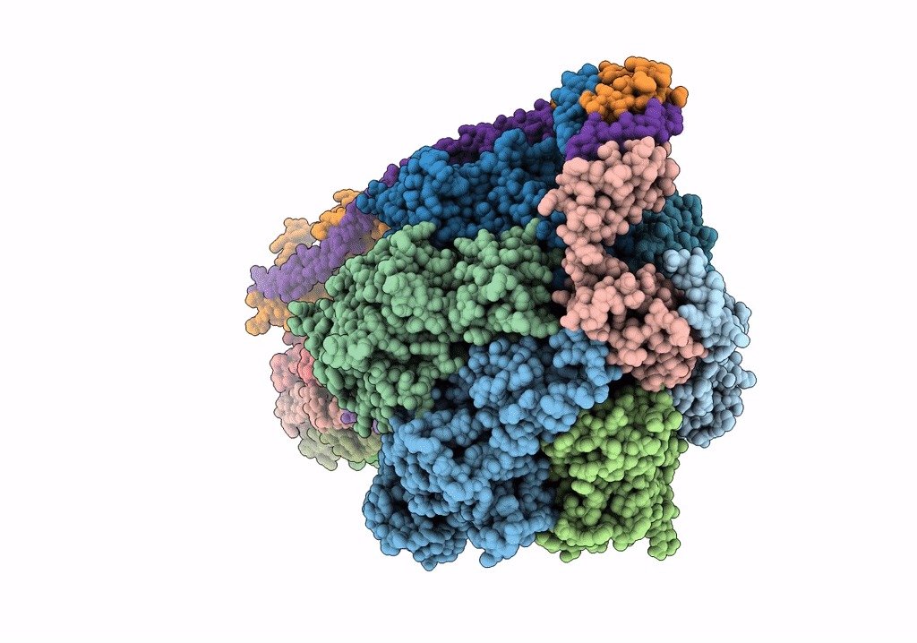 7P3W image