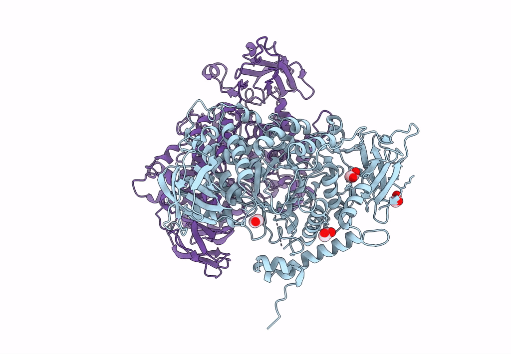 7P44 image