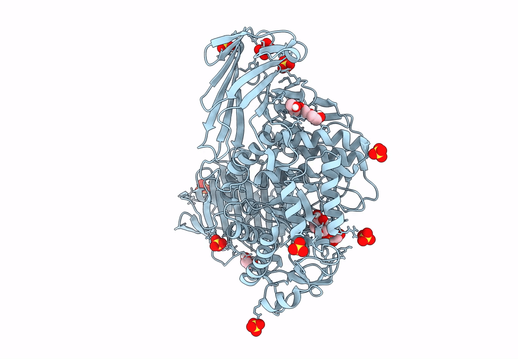 7P4D image