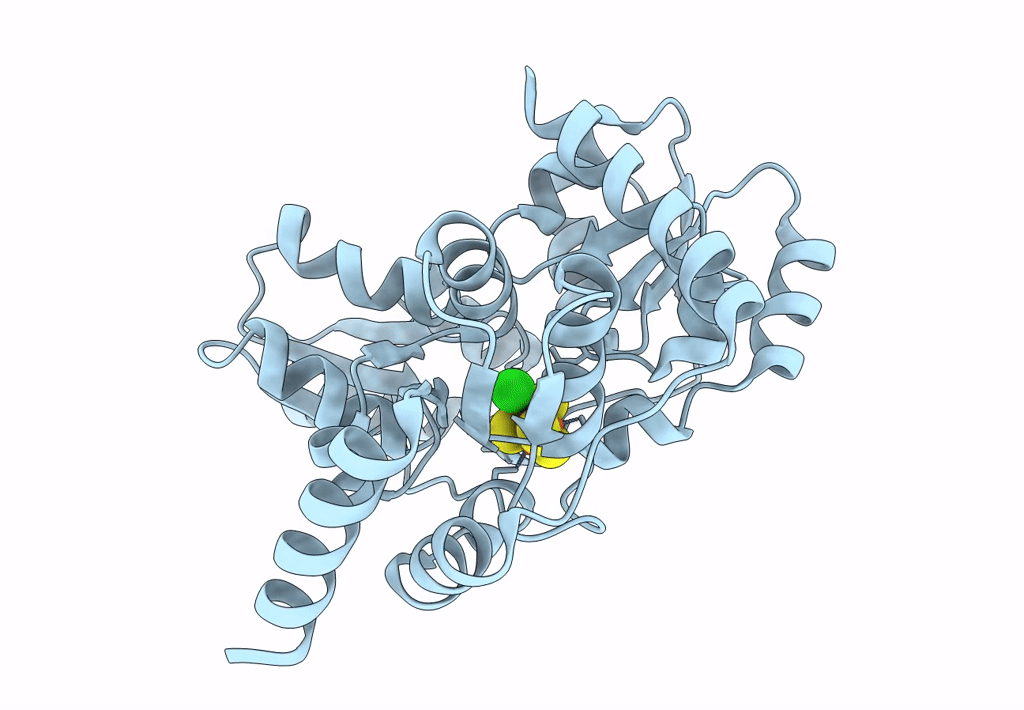 7P4M image