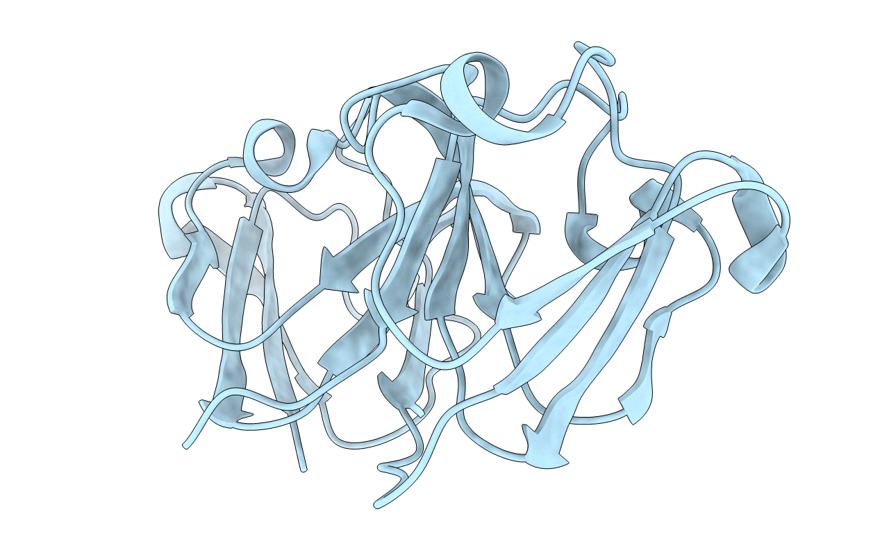 7P53 image