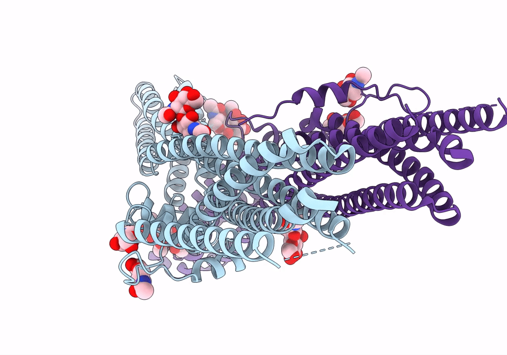 7p54 image