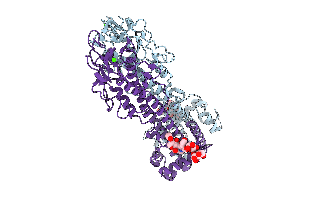 7P56 image