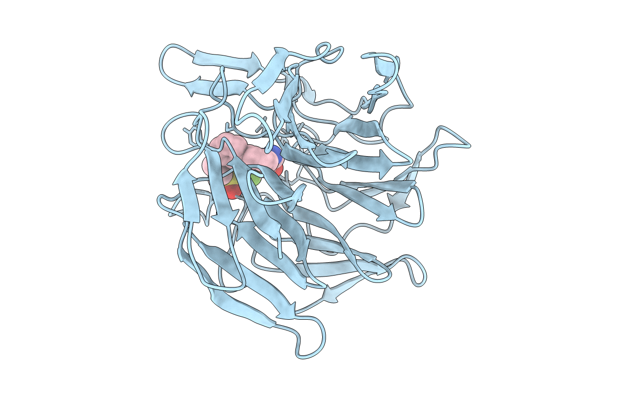 7P58 image