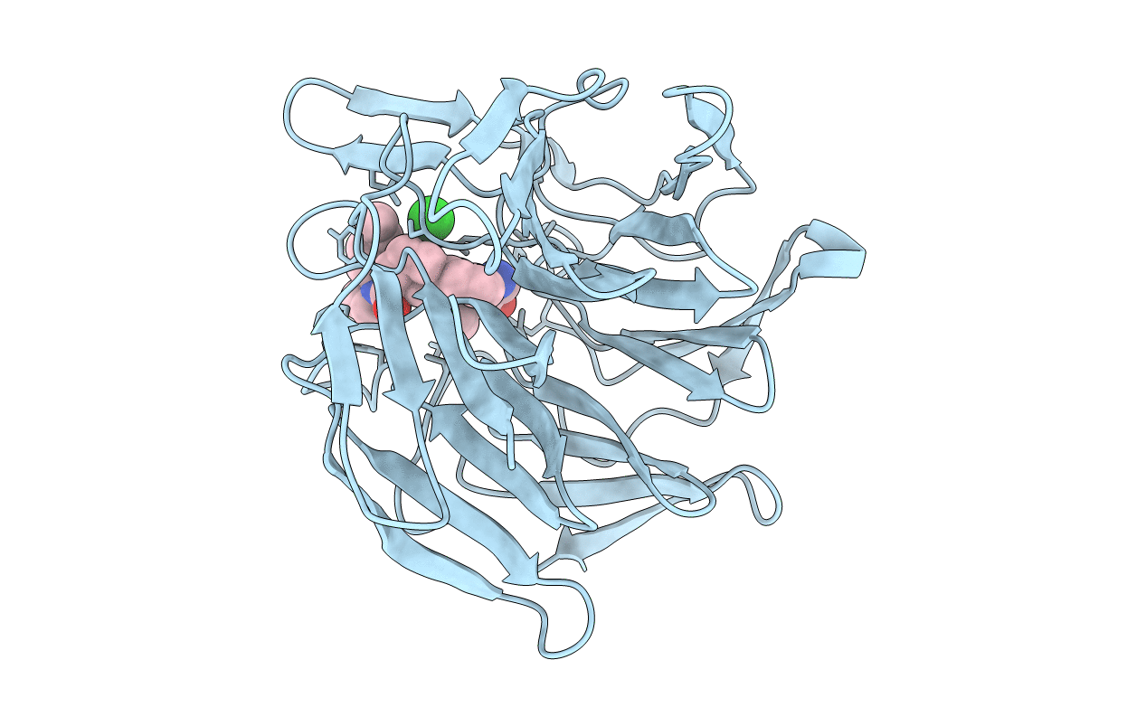 7P5N image