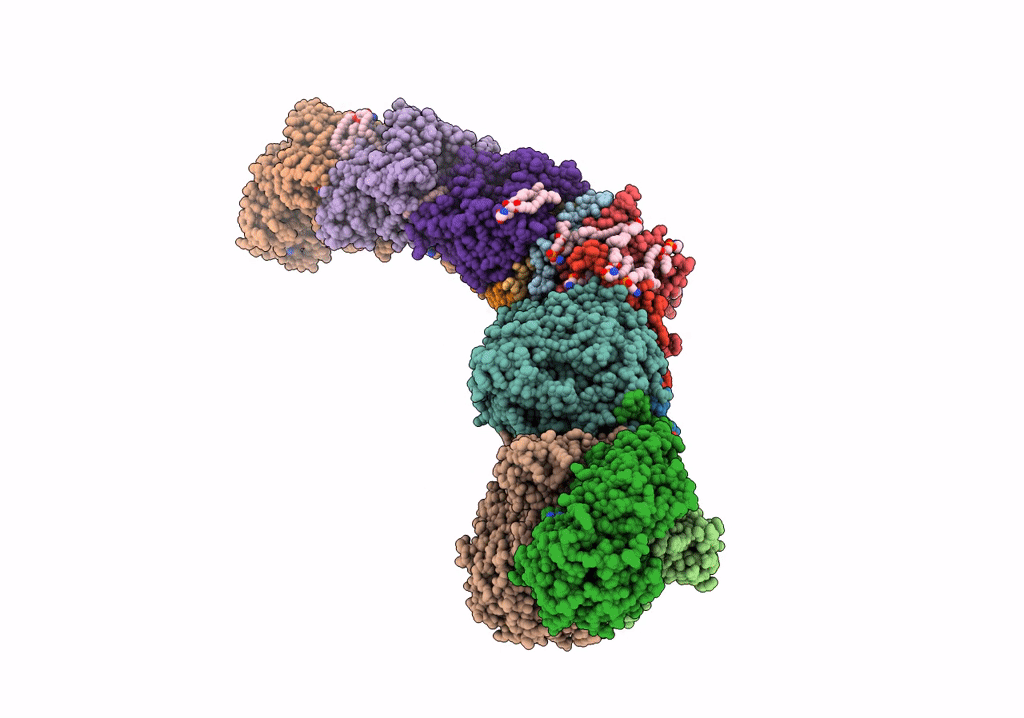7P64 image