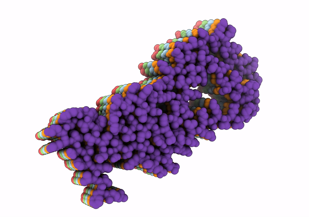 7P66 image