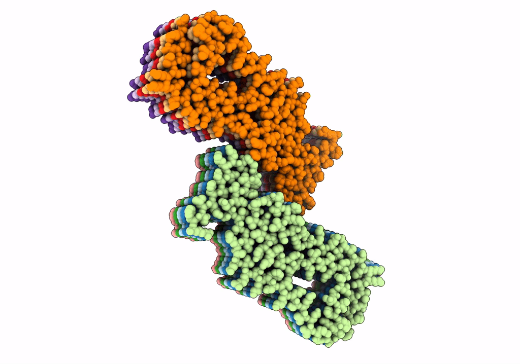 7P67 image