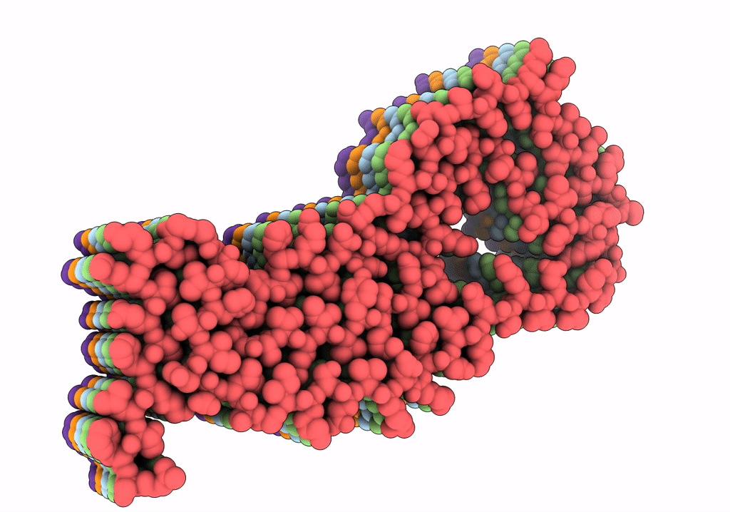 7P6A image