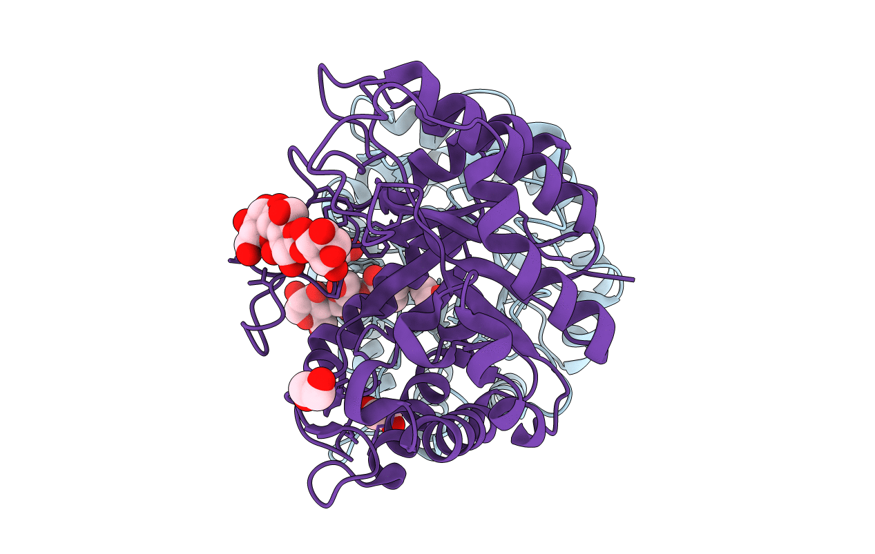 7P6H image