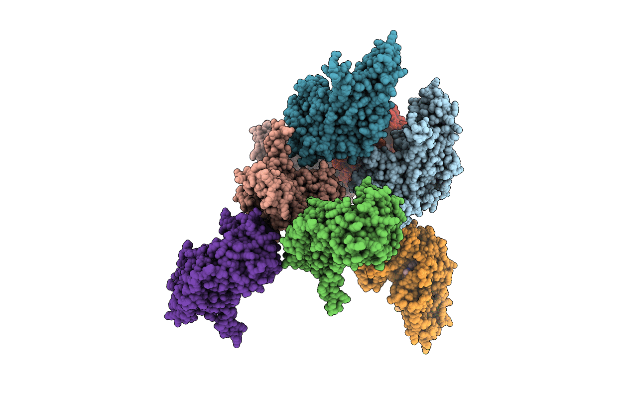7P6N image