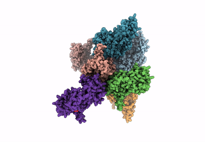 7P6O image
