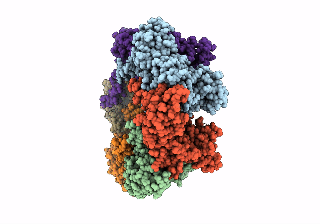 7P6X image