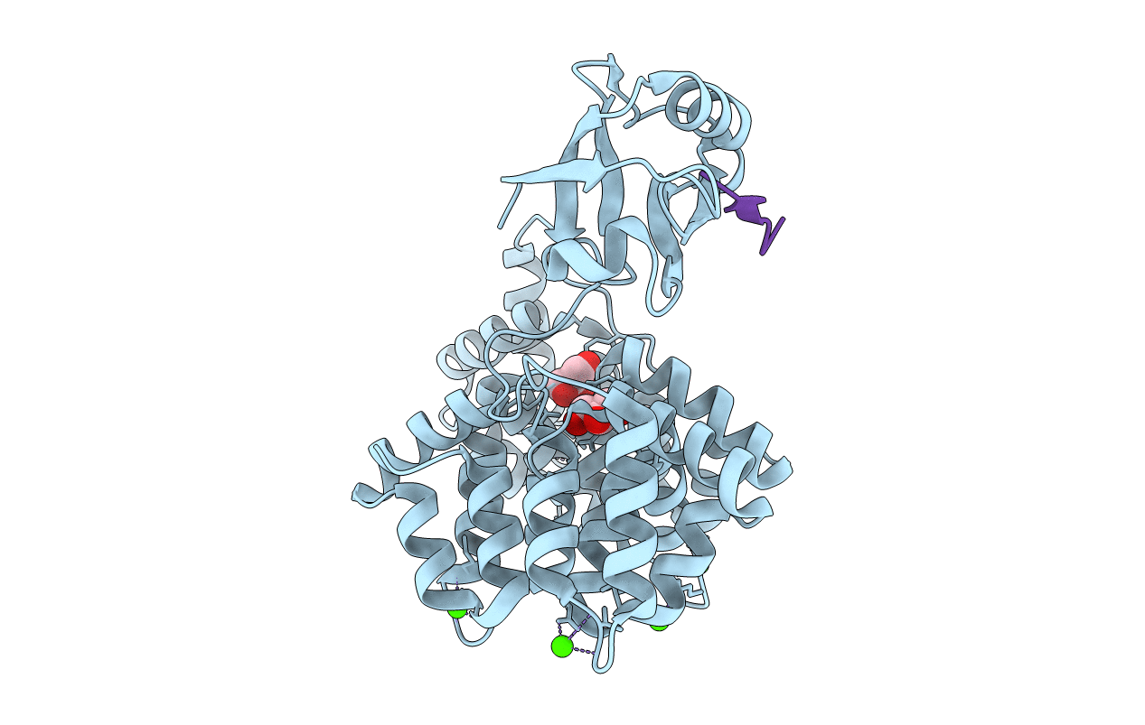 7P70 image