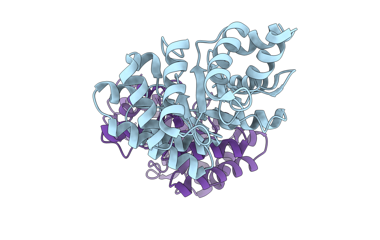 7P75 image