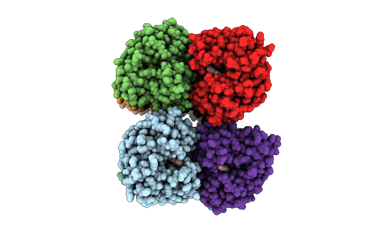 7P76 image