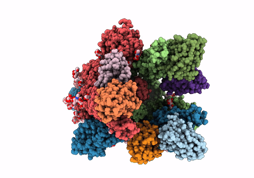 7P77 image