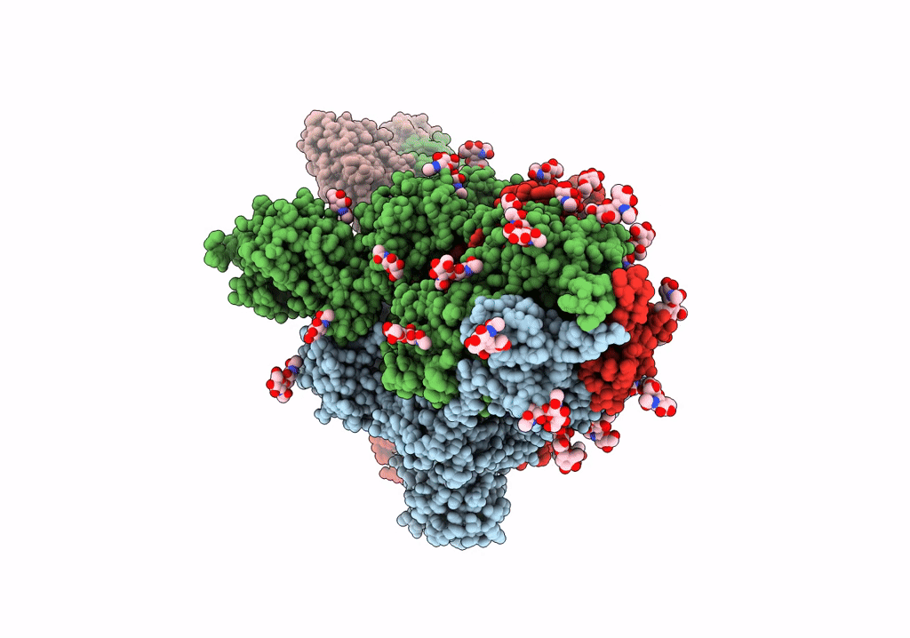 7P78 image