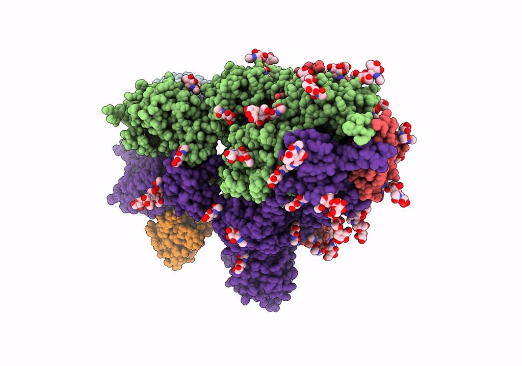 7P7A image