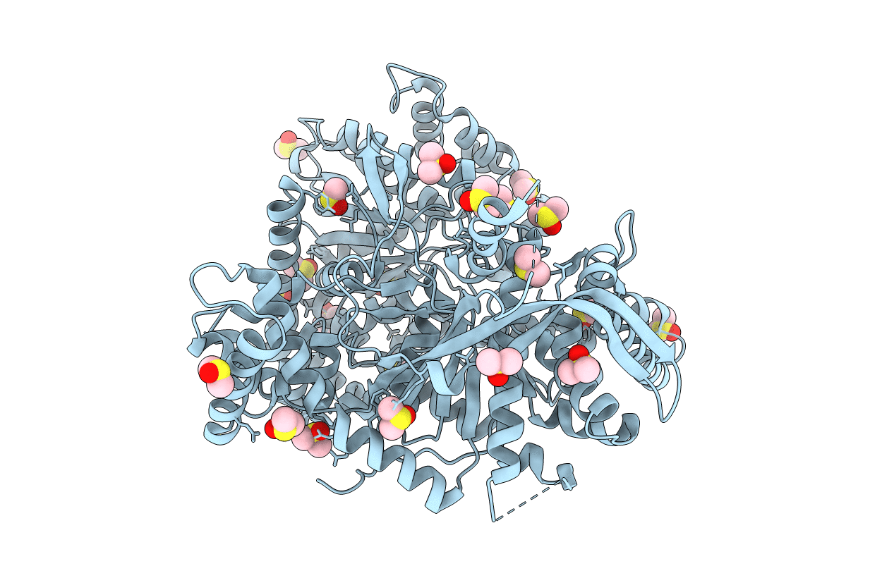 7P7D image