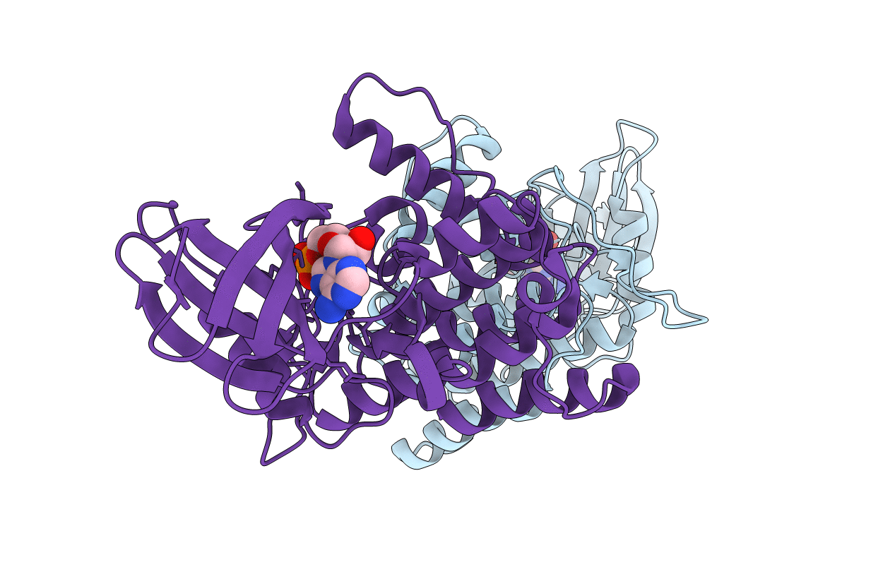 7P7H image