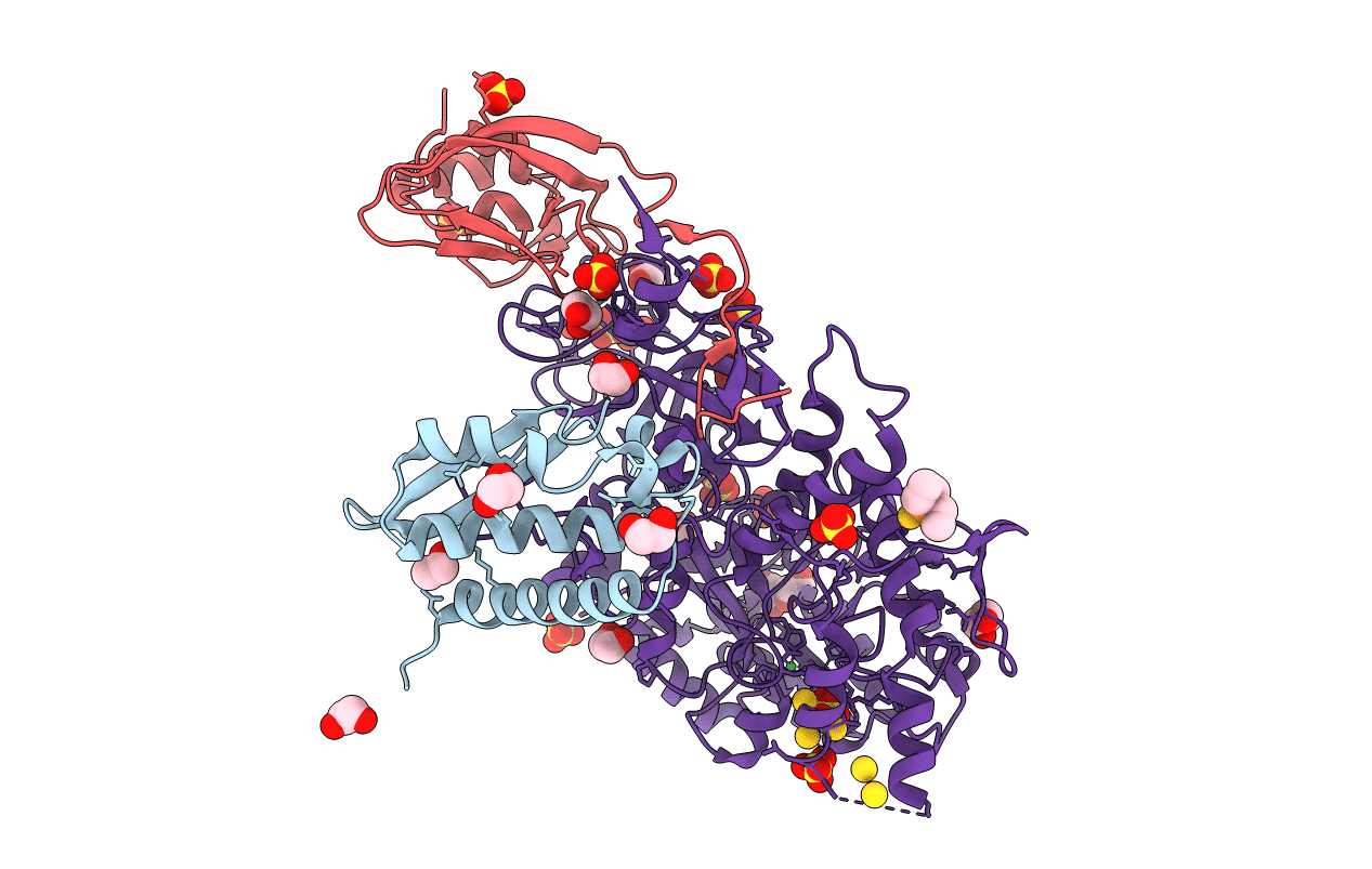 7P7N image