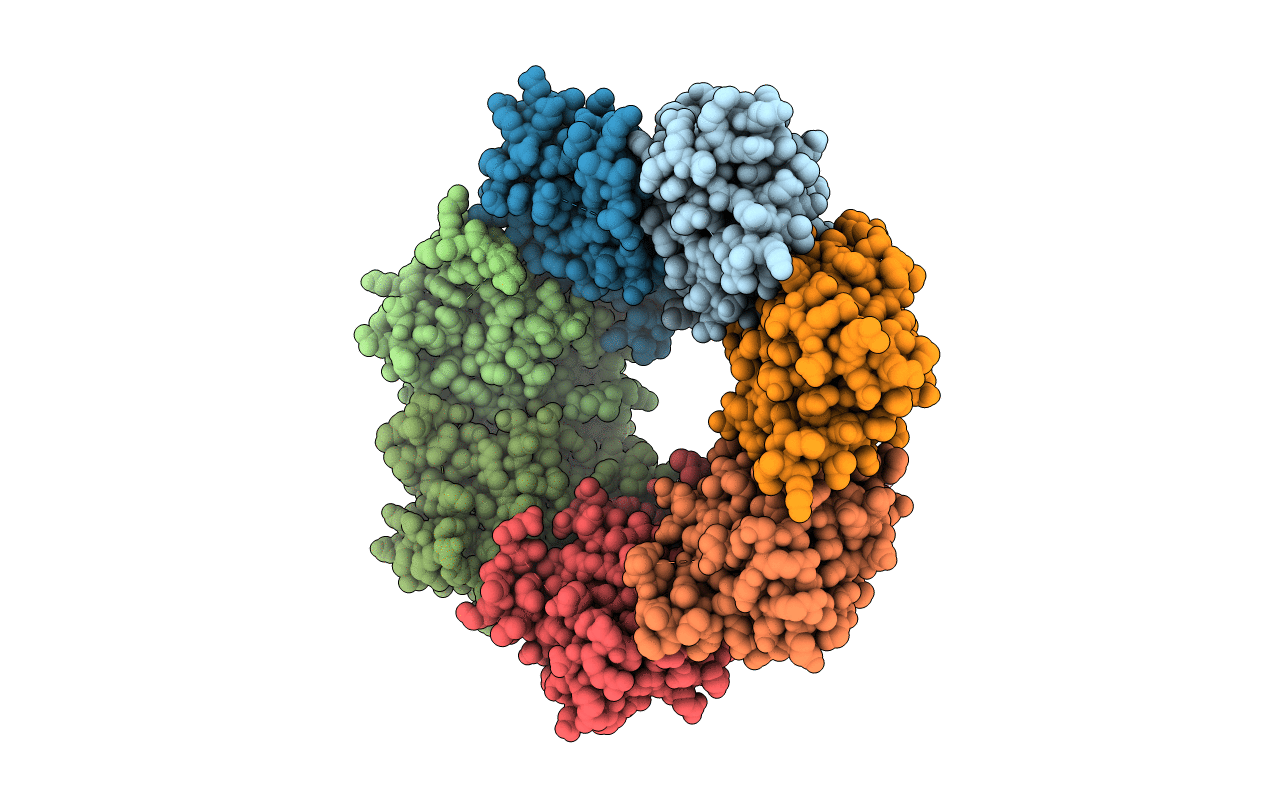 7P80 image