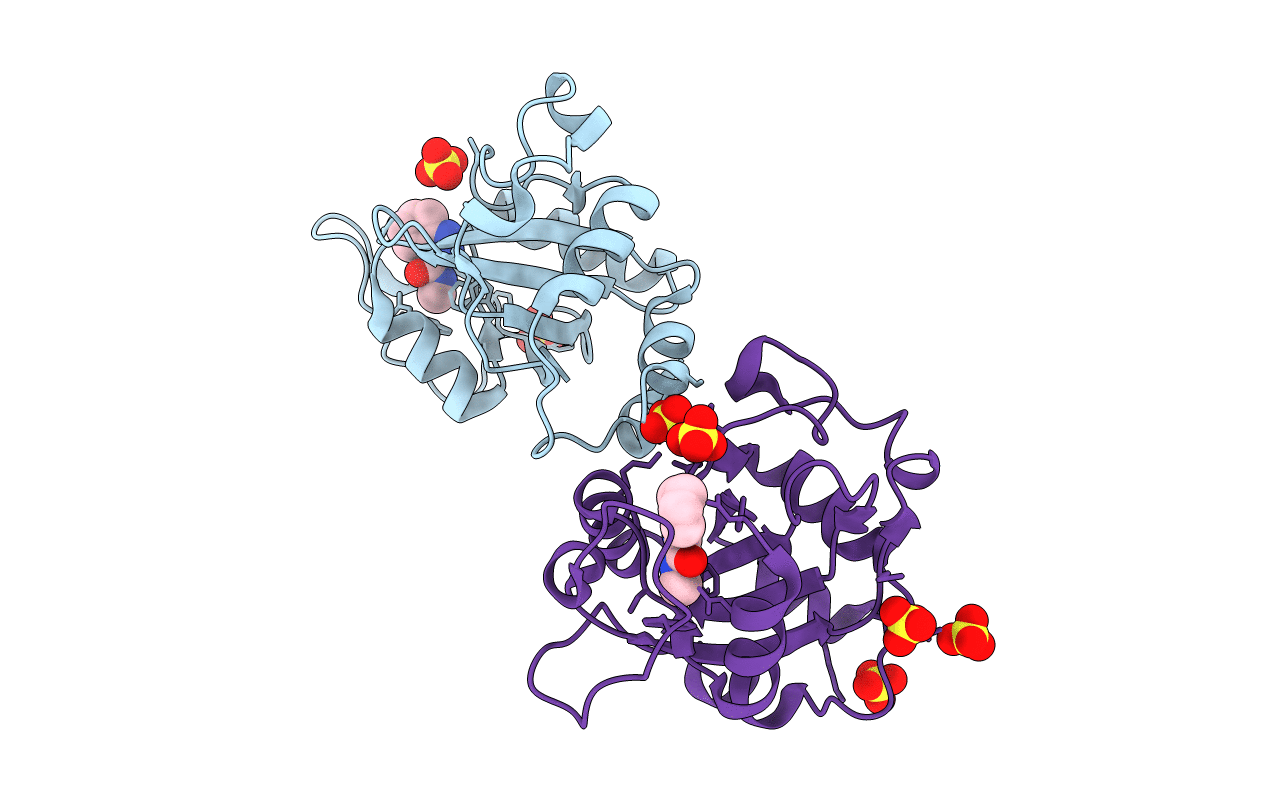 7P87 image