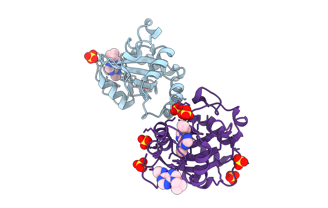 7P8B image