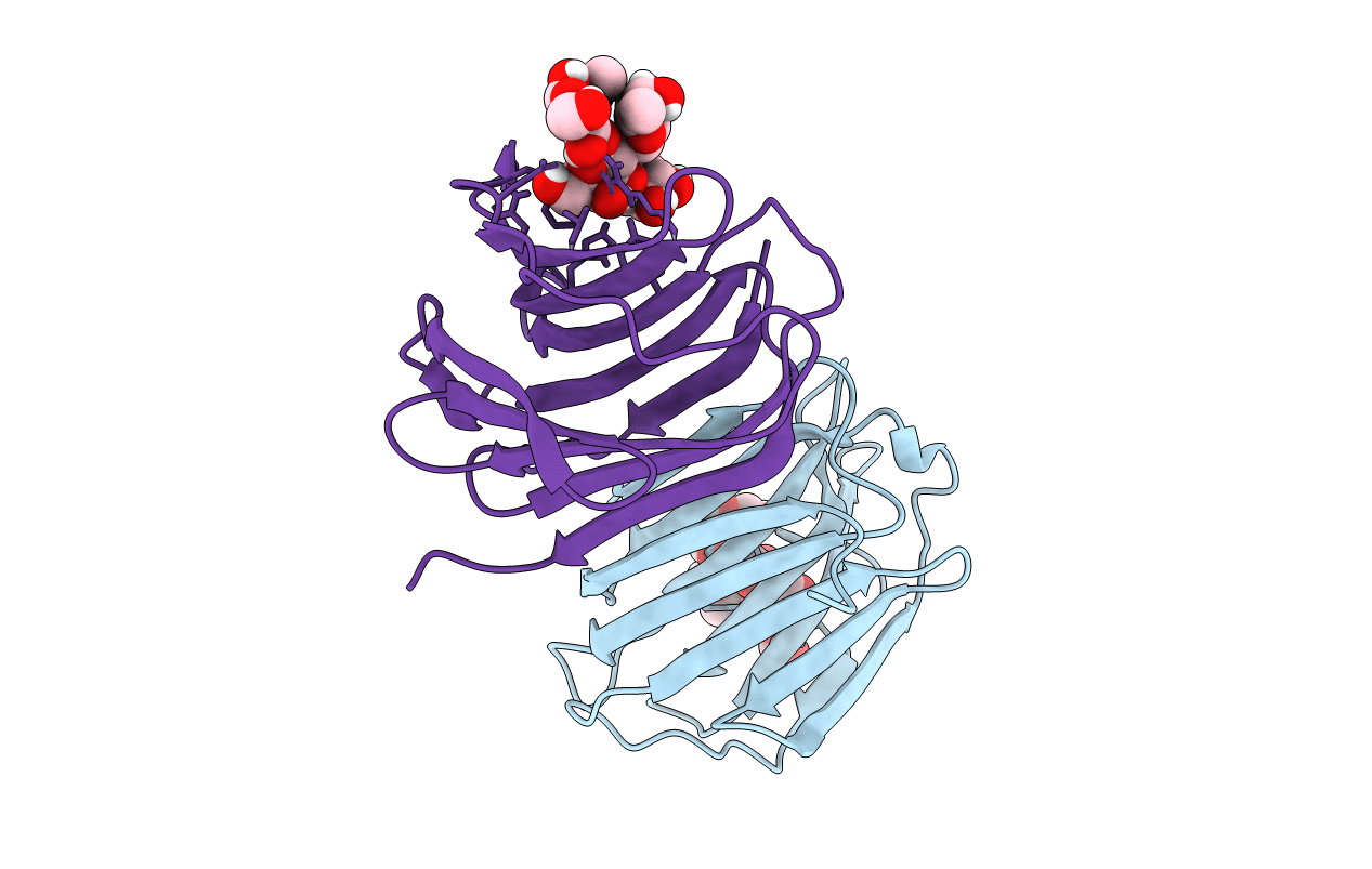 7P8H image