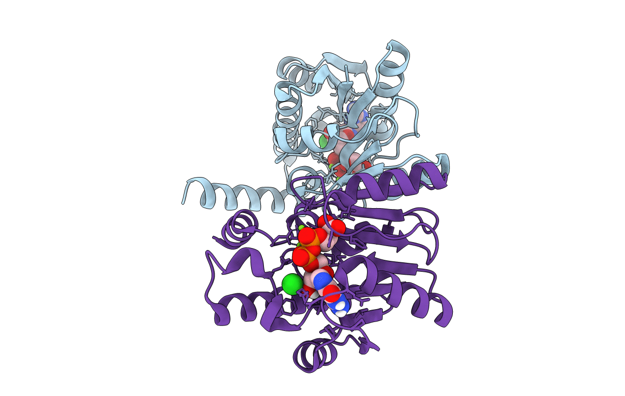 7P97 image