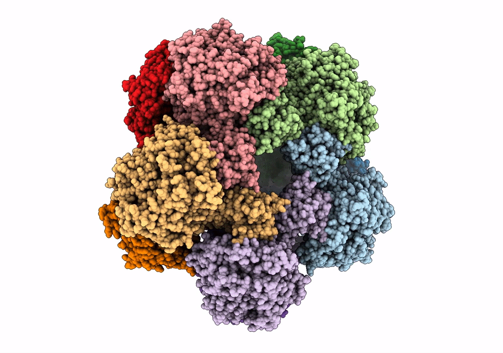 7P9B image