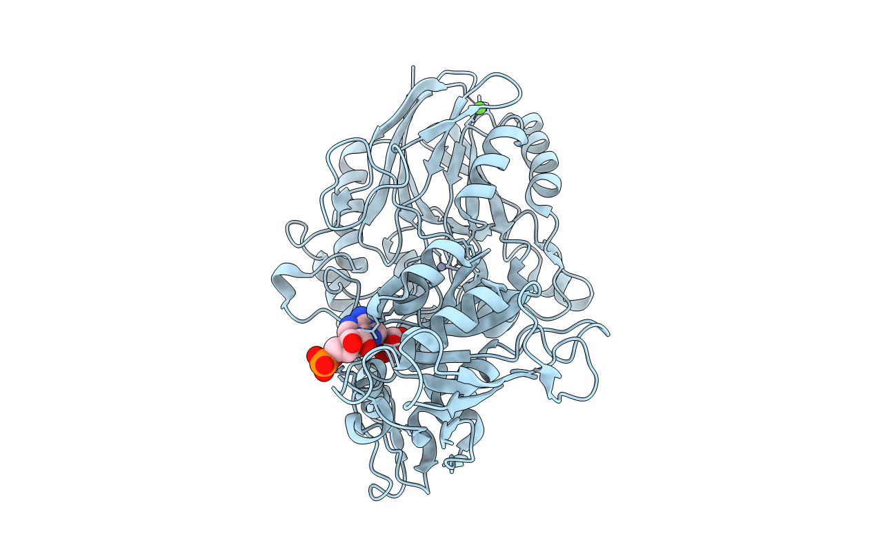7P9N image