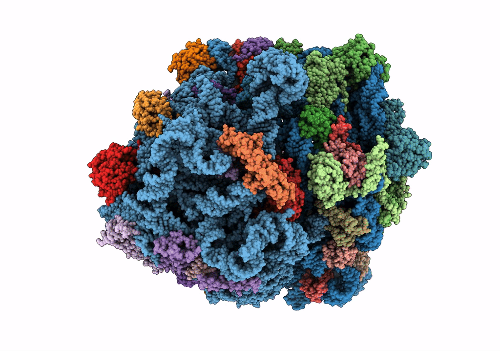 7PAH image