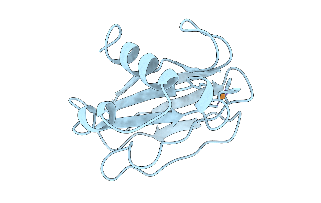 7PAZ image