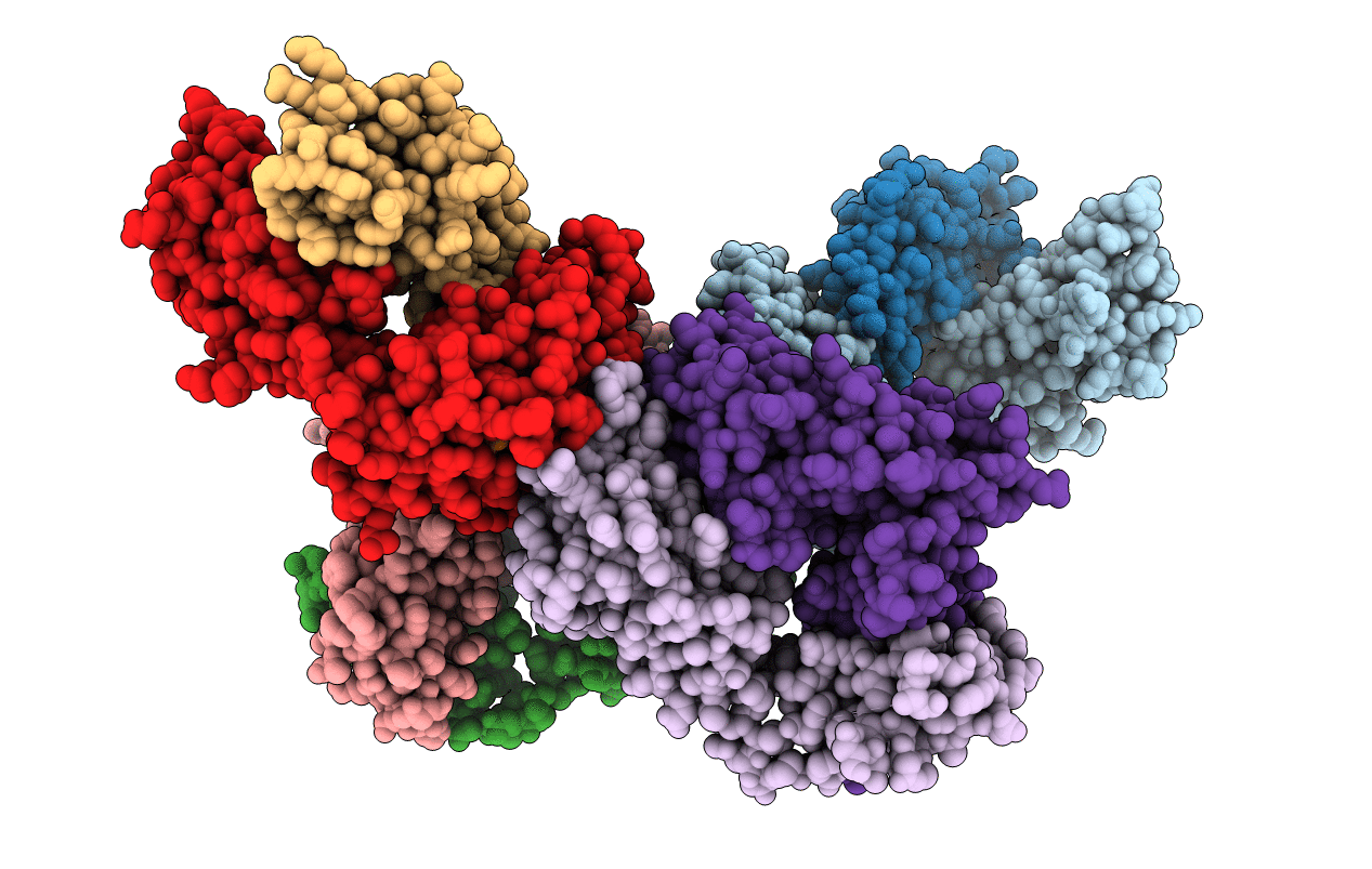 7PB2 image