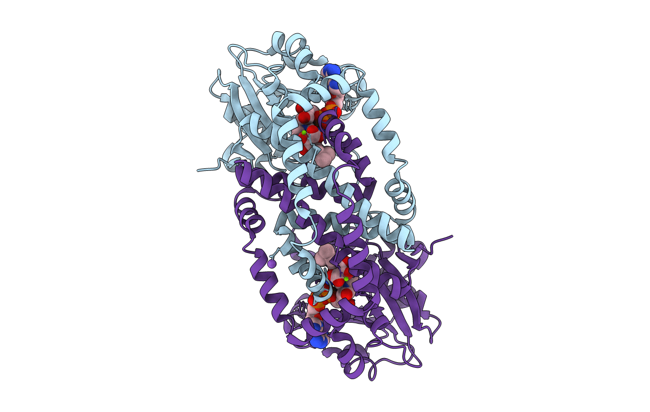 7PCM image