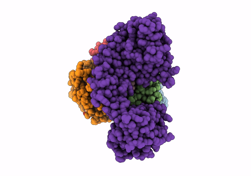7PCQ image