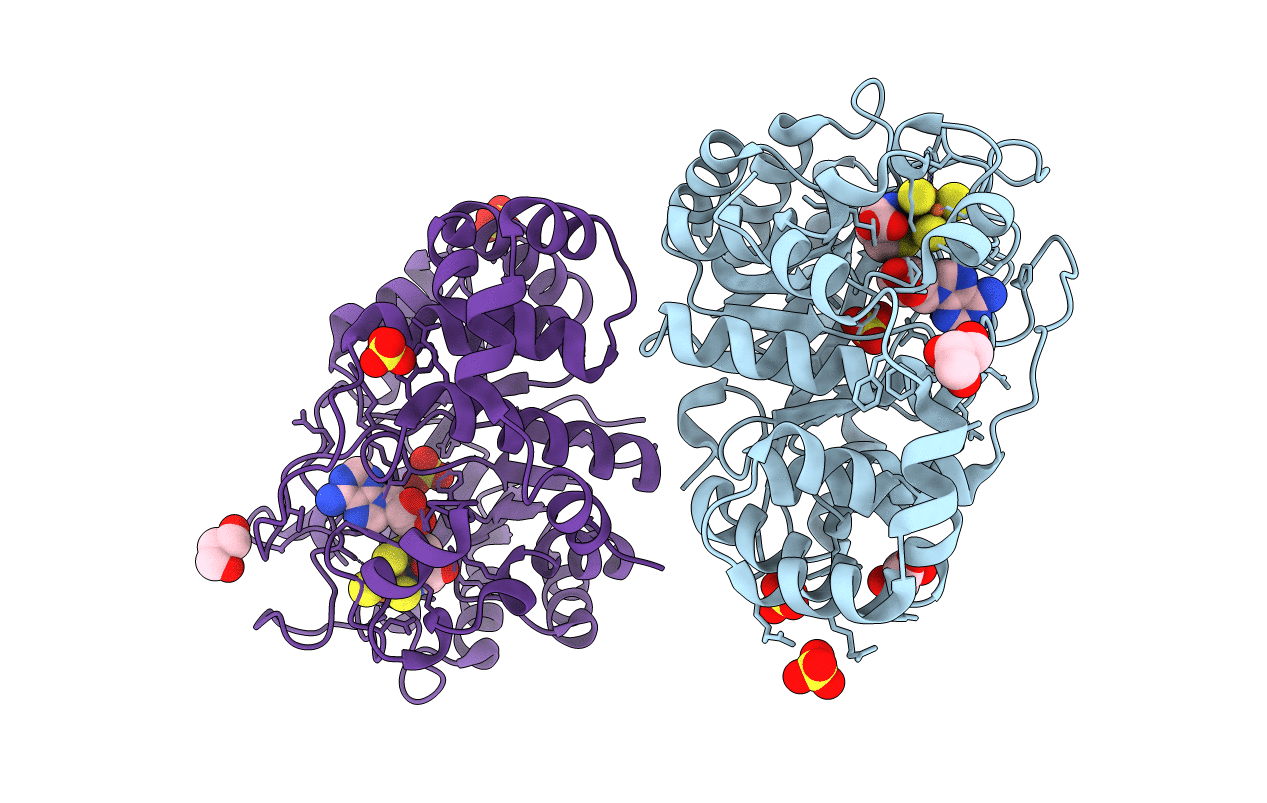 7PD2 image