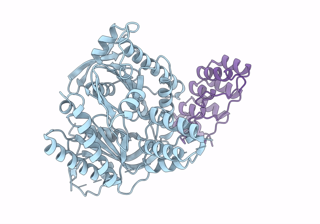 7PDD image