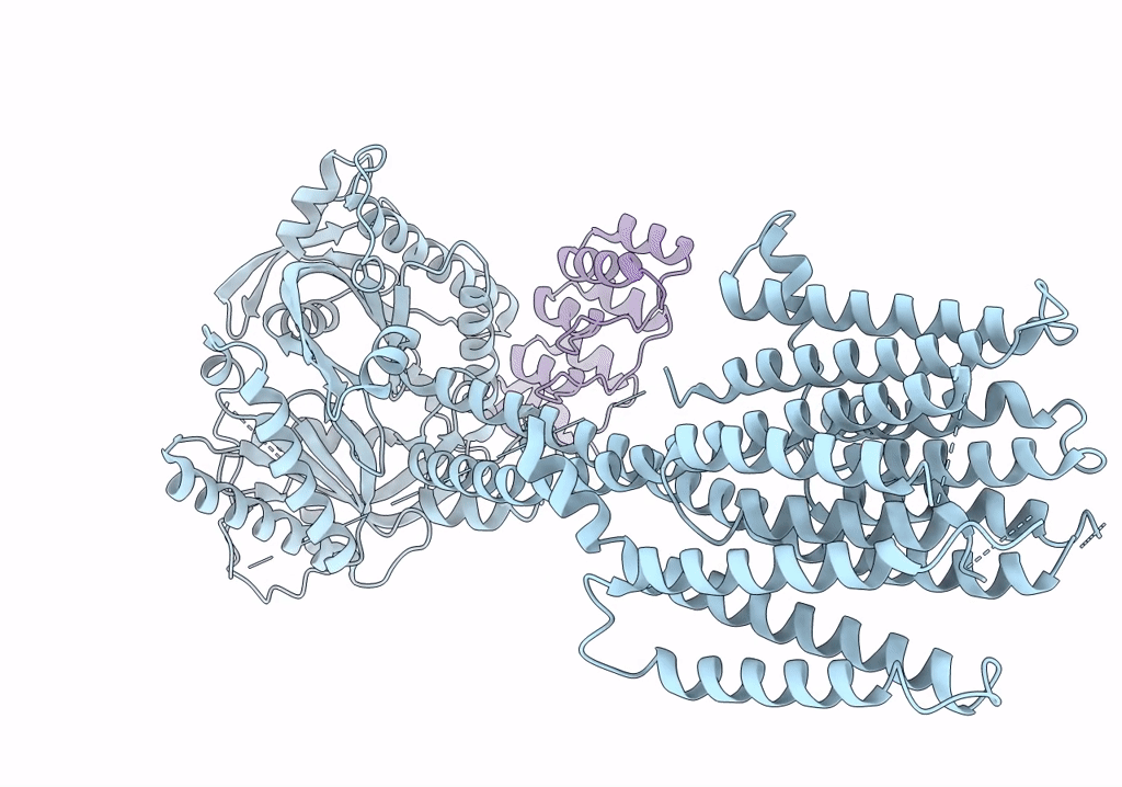 7PDG image