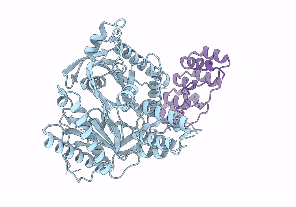 7PDH image
