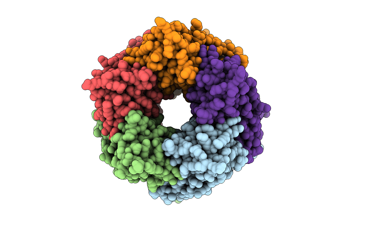 7PDR image
