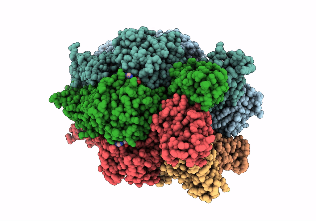 7PDS image