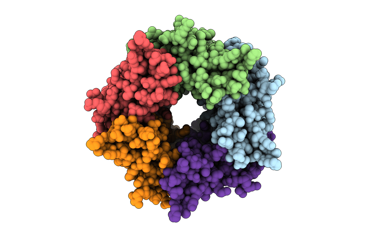 7PE5 image