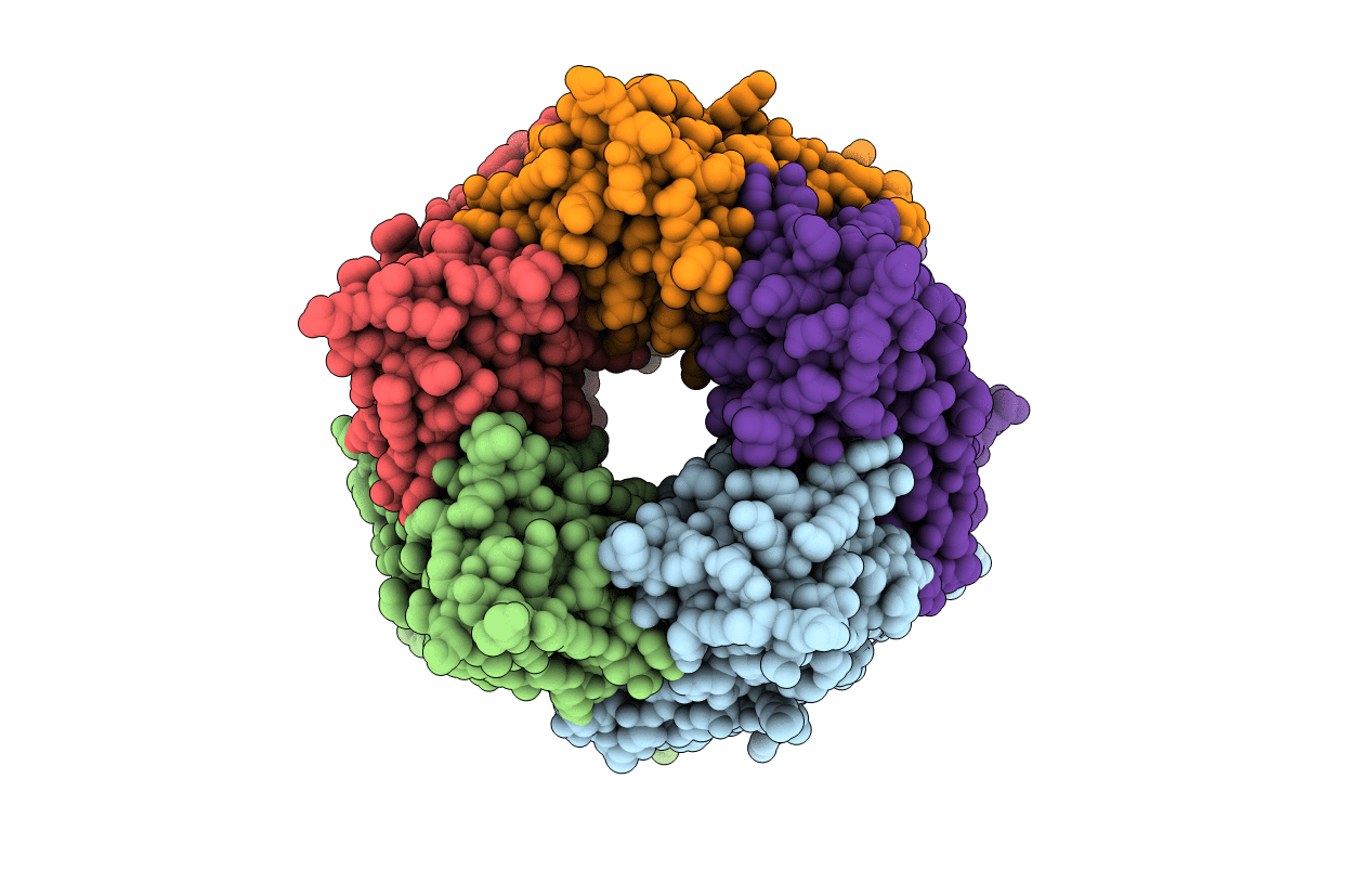 7PE6 image