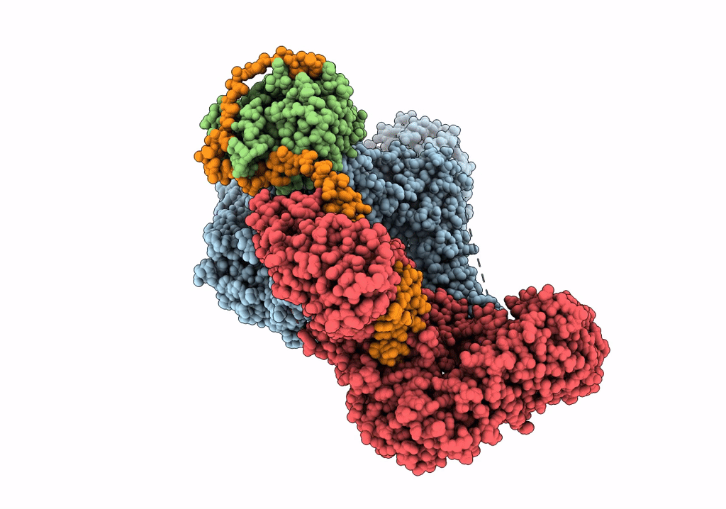 7PE8 image